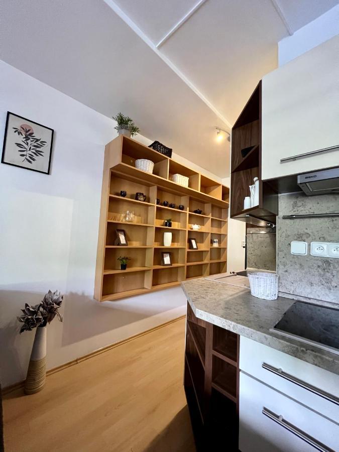 דירות Špindlerŭv Mlýn Apartman Labska 21 Ve Spindlerove Mlyne מראה חיצוני תמונה