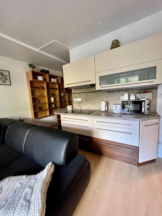 דירות Špindlerŭv Mlýn Apartman Labska 21 Ve Spindlerove Mlyne מראה חיצוני תמונה